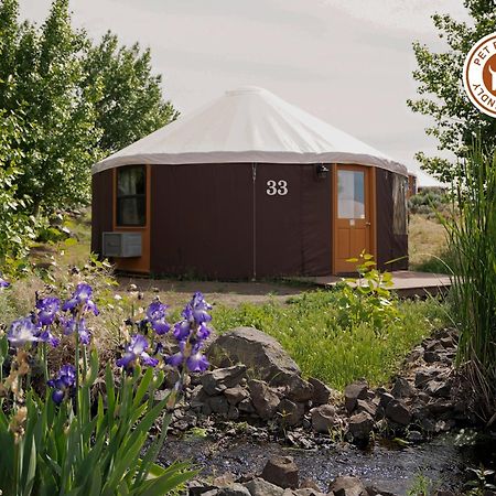 Sagecliffe Resort & Spa George Екстериор снимка